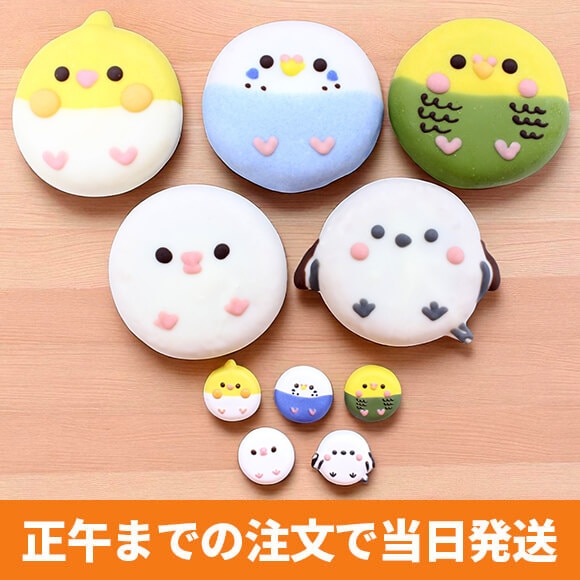 ガチャコンプリート鳥ドーナツセット（5個入り） カプセルトイ5種類