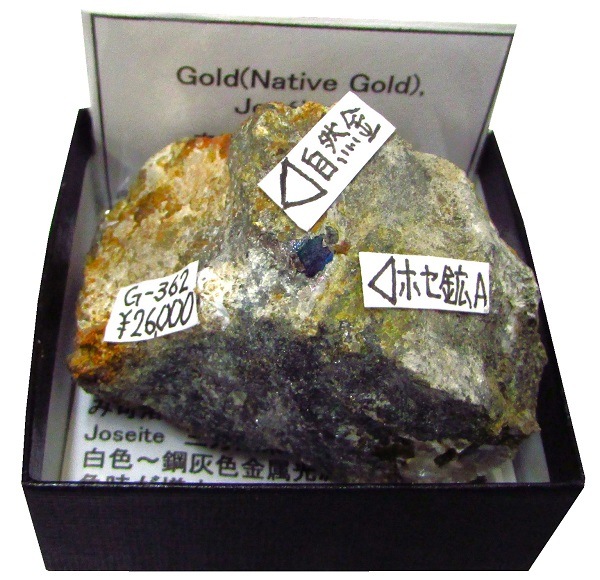 G-362 自然金(Gold)とホセ鉱A(JoseiteA) | 元素鉱物 | Mineral Shop