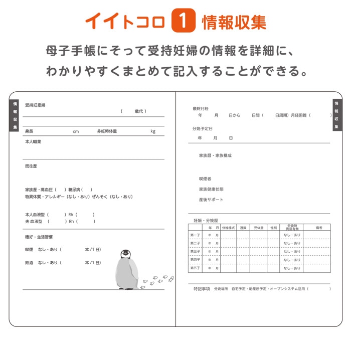 母性看護学生 実習用 ノート 10冊入 80001016 バイタルサイン