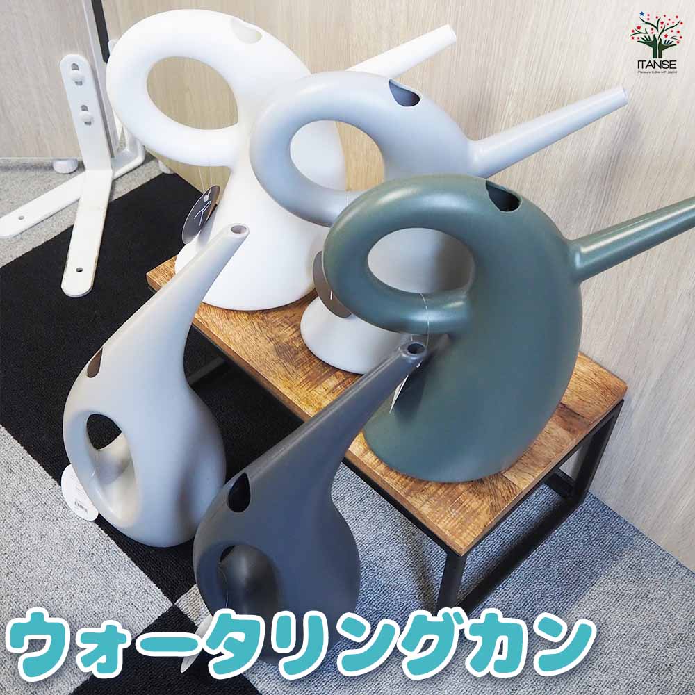 ジョウロ ウォータリングカンA-M 【水やりグッズ】｜ 【植物の