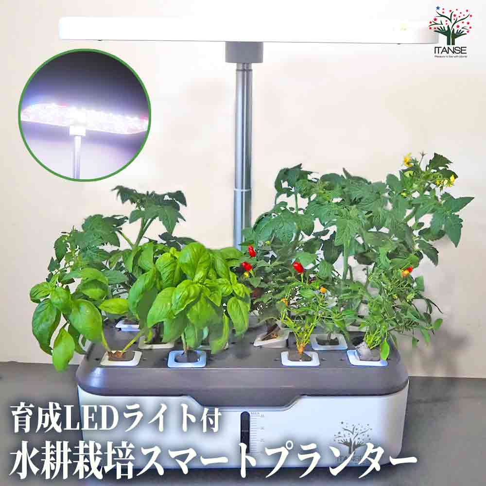 水耕栽培スマートプランター 育成LEDライト付【水耕栽培セット