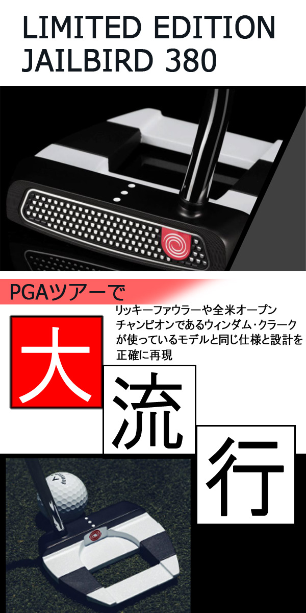 先行予約】【23年モデル】オデッセイ リミテッド エディション