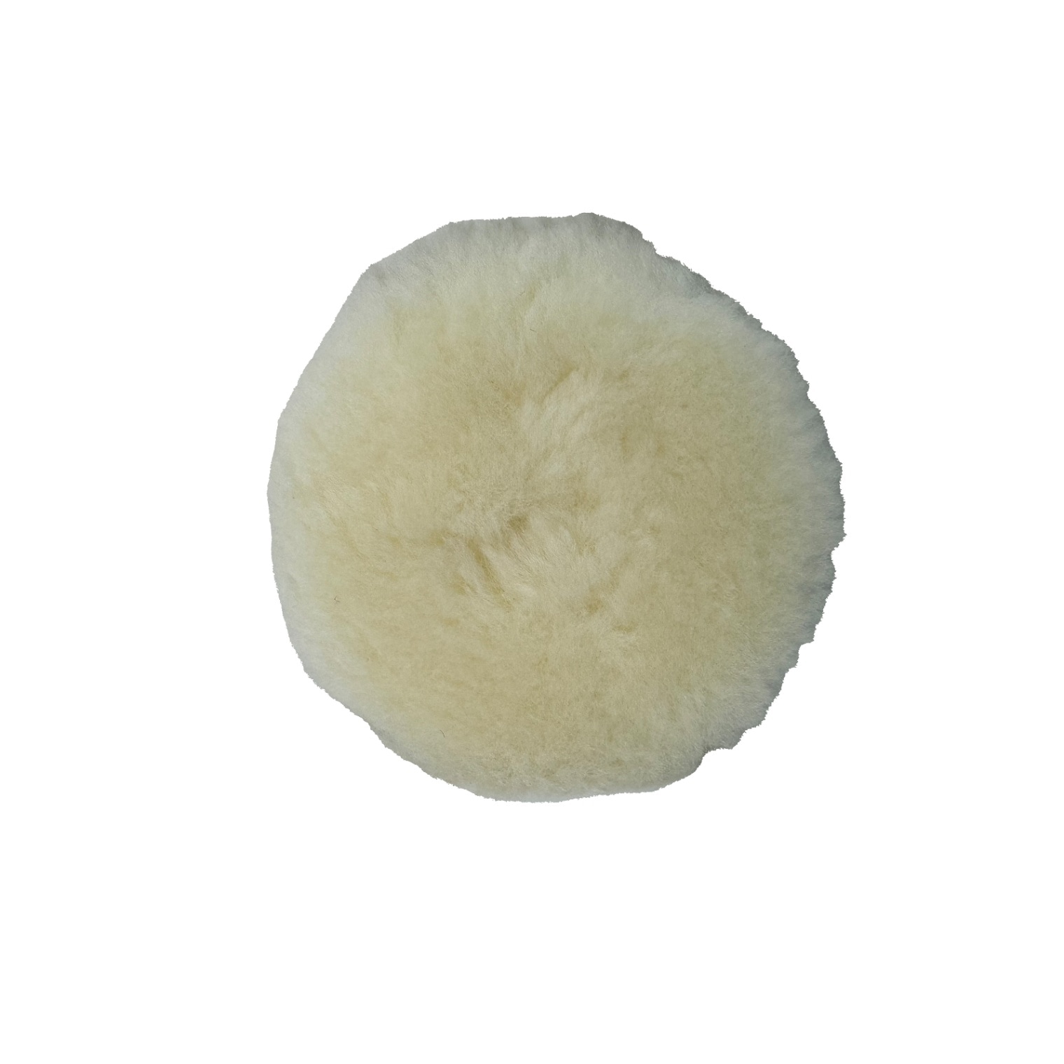 THE CUT | THE DETAIL SUPPLY | KAMIKAZE COLLECTION - WEB STORE