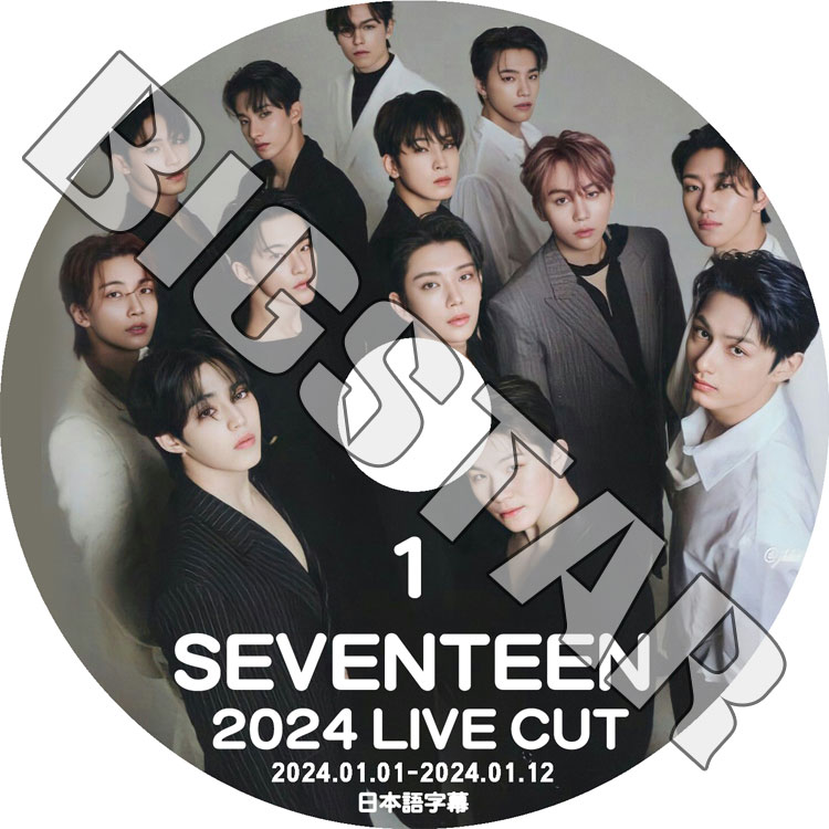 K-POP DVD SEVENTEEN 2024 LIVE CUT #1 2024.01.01-01.12 日本語字幕