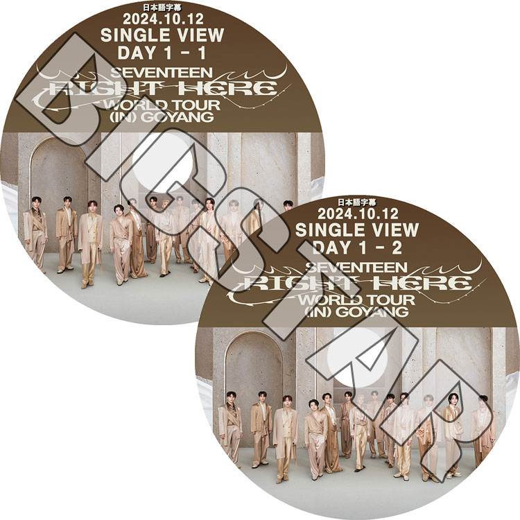 K-POP DVD SEVENTEEN RIGHT HERE GOYANG DAY 1 2024.10.12 2枚セット