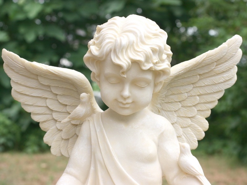 白いエンジェル♪バード