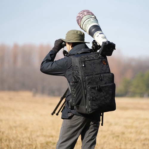 即配】 aosta アオスタ サンクチュアリIV RK614AP ”BIRD CALL EDITION