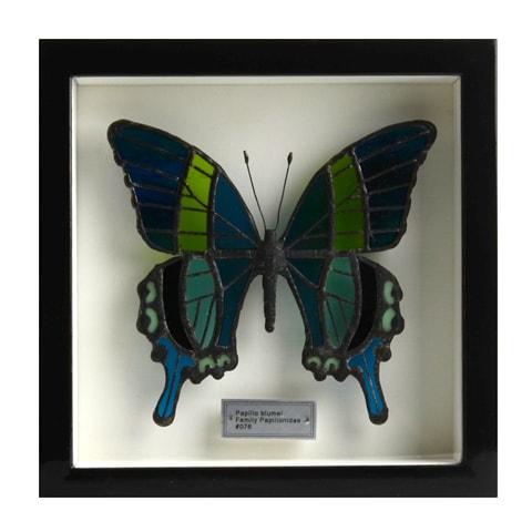 ご予約】西冨なつき ＃076 オオルリオビアゲハ｜恵文社一乗寺店