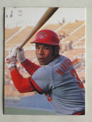 79251 カルビープロ野球カード 1979年 広島 衣笠祥雄 4月34位 並上品