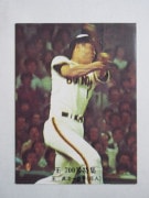 カルビープロ野球カード,76年,700号特集 | キンキーズ オンラインショップ
