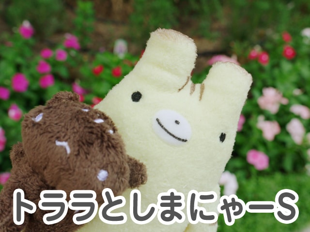 フモフモさん トララとしまにゃー（S） 可愛い癒しのぬいぐるみ シナダ