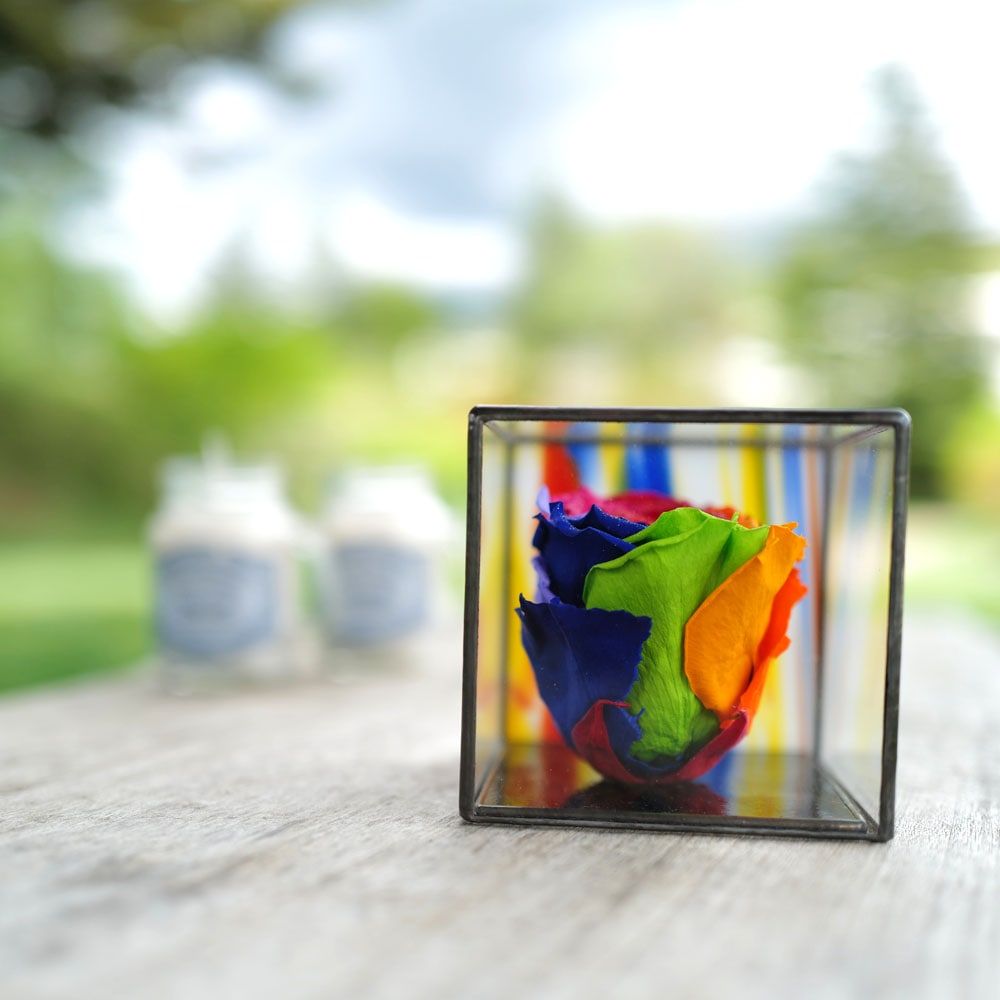 レインボーローズ プリザーブドフラワー in ステンドグラス | 色から