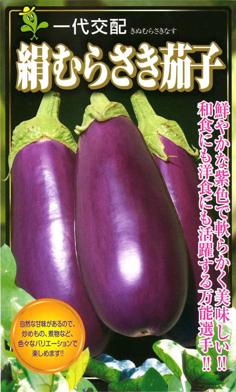 小林種苗 ナス種子 絹むらさき＊種子有効期限2026年10月末 | 小林種苗