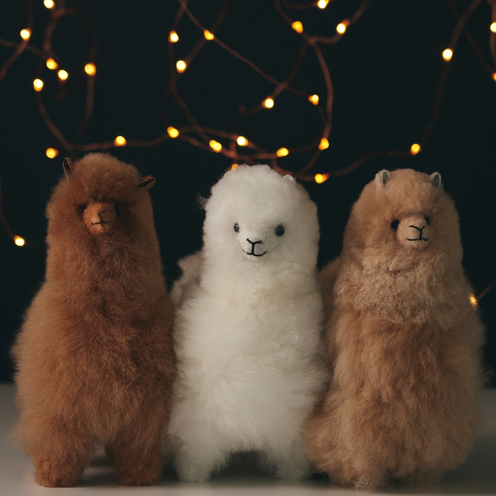 elvang｜アルパカ テディ 20*20 | KONCENT Web shop｜アッシュ