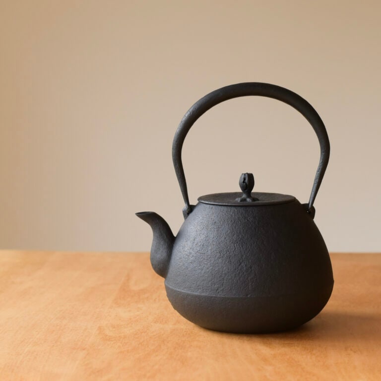 南部鉄瓶　釜定　秋の実　肌　鉄瓶 釜定<br>秋の実 肌 鉄瓶 | 鉄瓶・ケトル | kuriyaオンラインショップ