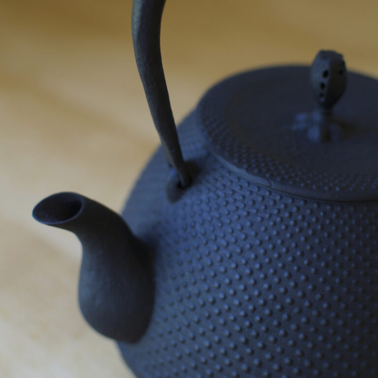 釜定　宮伸穂　南部鉄器　鉄瓶　秋の実 大あられ 南部鉄器 鉄瓶 / 南部鉄瓶 / 釜定 / 秋の実 大あられ [ やかん 日本製