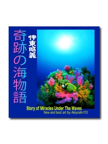 奇跡の海物語 伊東昭義｜求龍堂