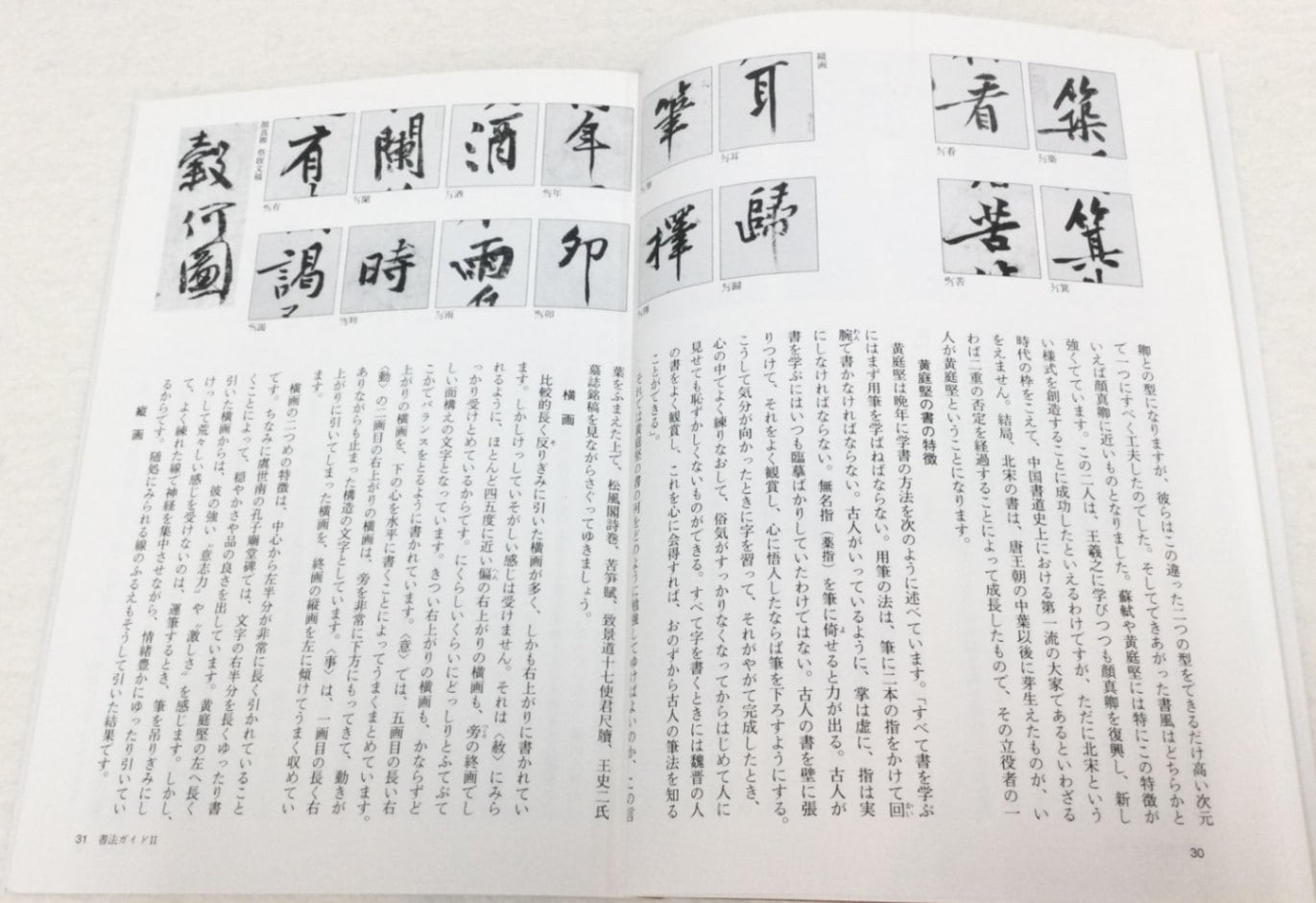 旧蔵 大型 北宋名家 蘇軾·蘇東坡 「武昌西山詩帖」 布書道 逸品 肉筆