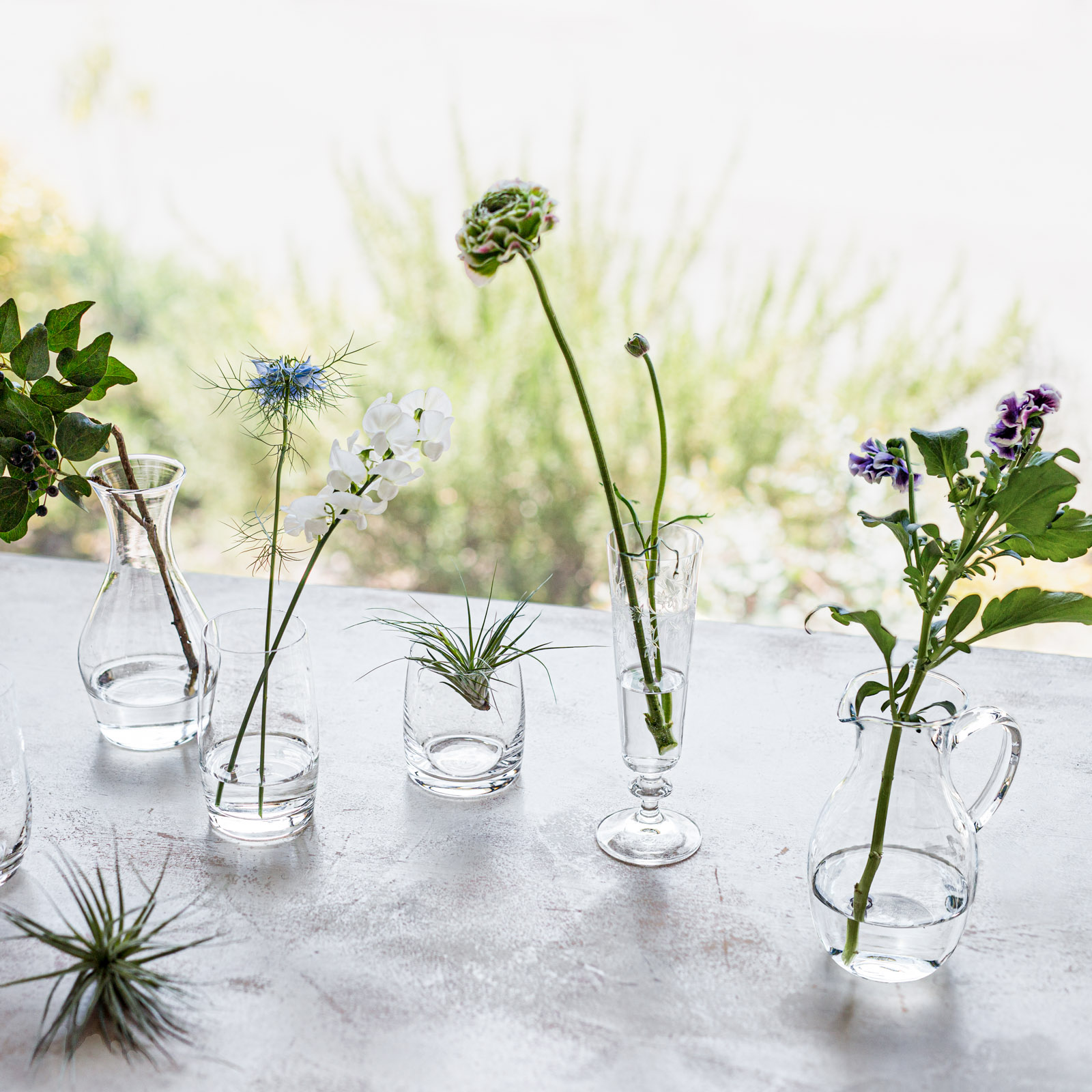 BOHEMIA Cristal _ クラシック / ジャグ(500ml)