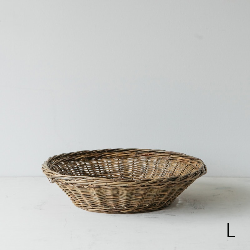 ラトビア バスケット