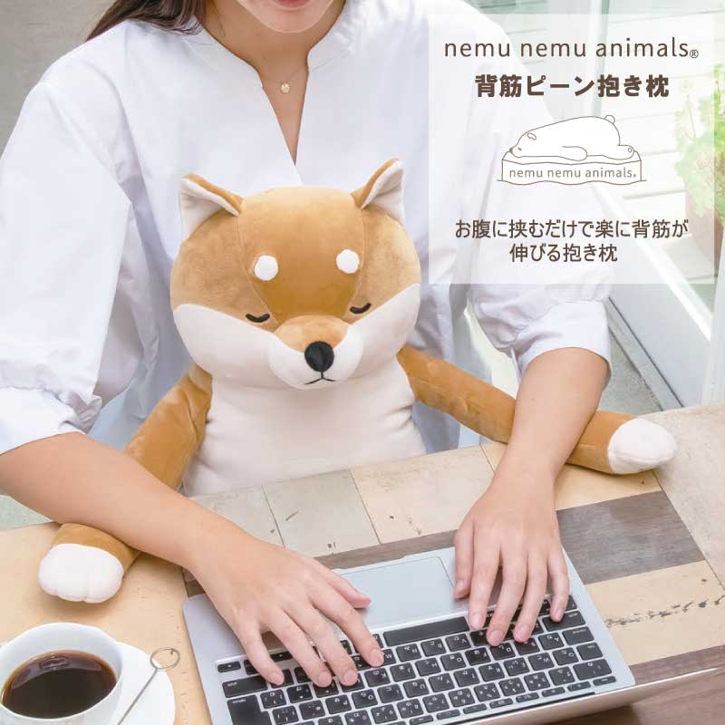 リラワーク 背筋ピーン抱きまくら