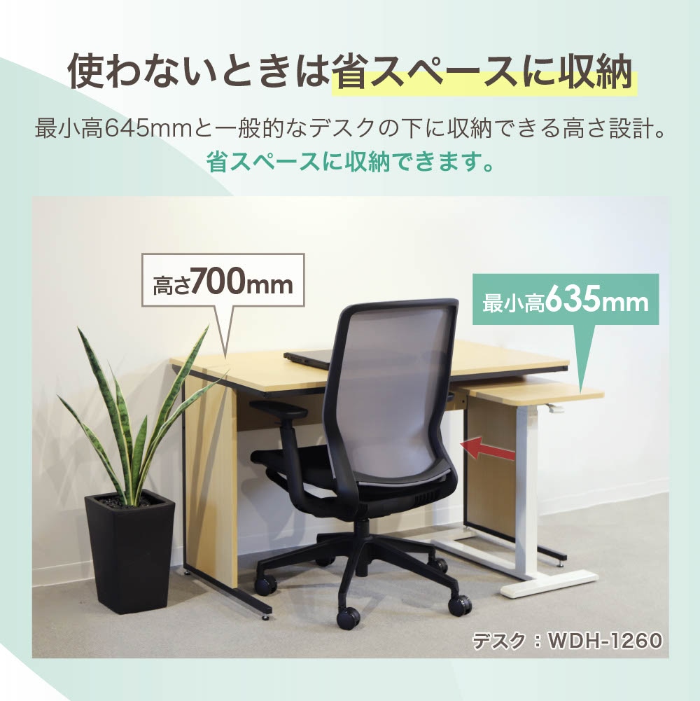 11_000000043578.jpg?1735114026