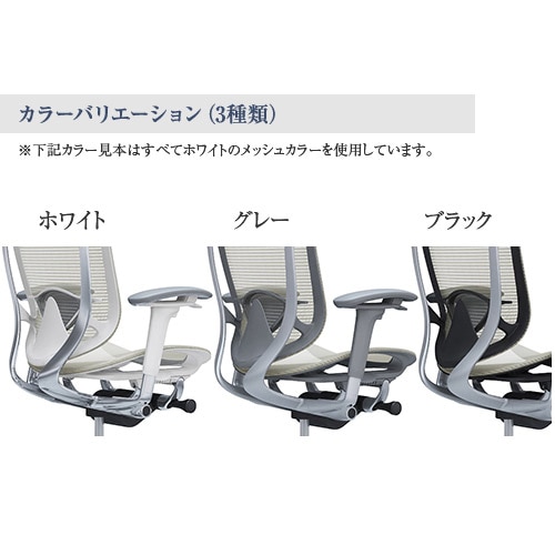 ランバーサポート コンテッサ セコンダ用 デスクチェア パソコンチェア