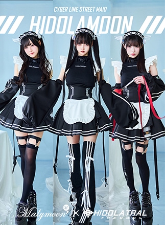 即日発送】サイバーラインストリートメイド《オリジナルコスプレ10点