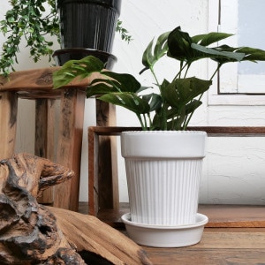 セラミックプランター L 白と黒 植木鉢｜マライカ公式通販