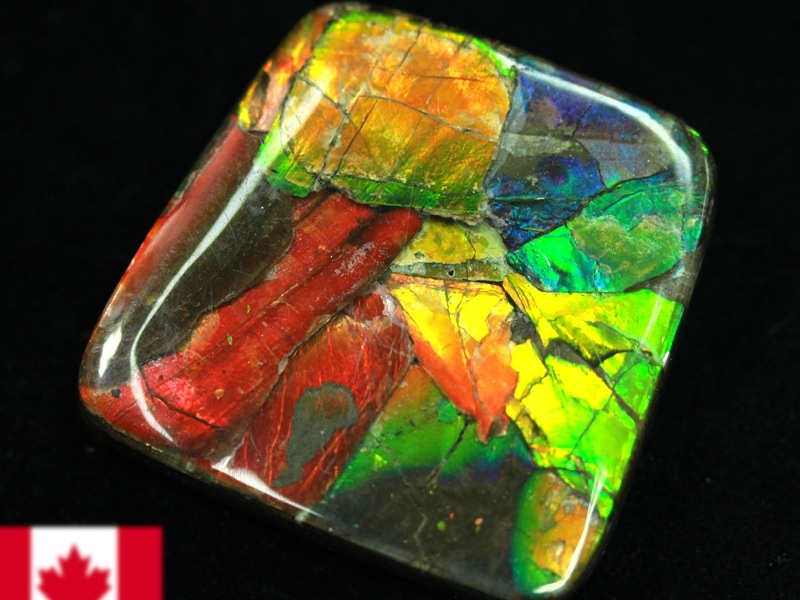 超激レア！虹色に輝くイリデッセンス☆アンモナイト化石宝石☆7000万年