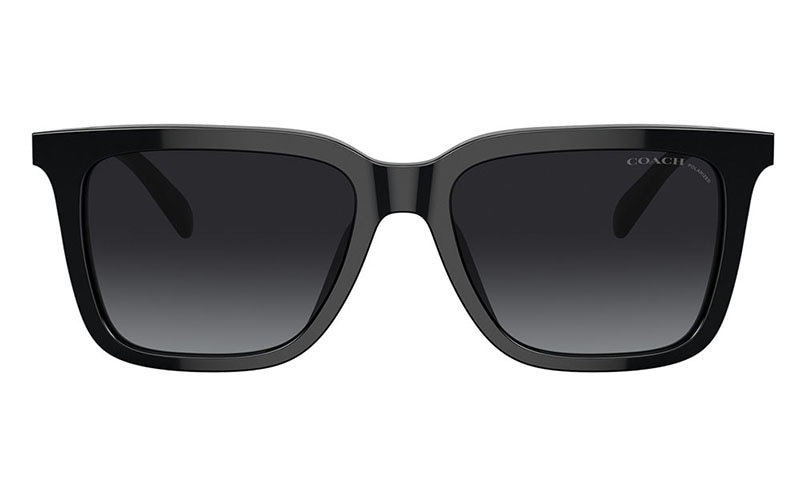 HC8385U 5002T3 54 コーチ COACH サングラス ウェリントン スクエア