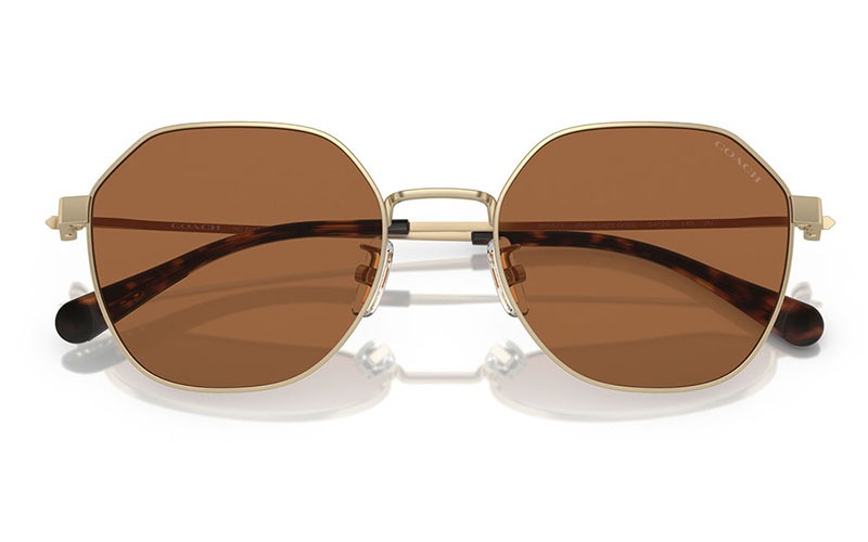 HC7155 900573 54 コーチ COACH サングラス ラウンド オクタゴン