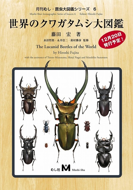 月刊むし・昆虫大図鑑シリーズ6 世界のクワガタムシ大図鑑 | むし社の