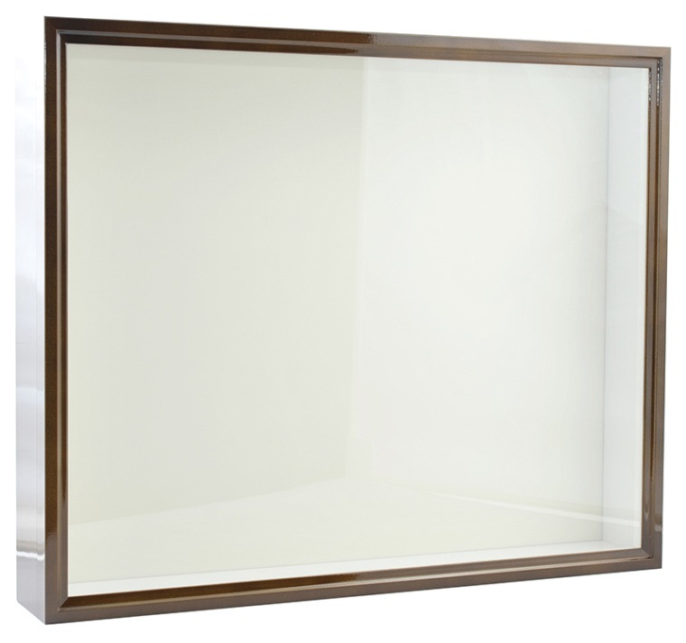 大型ドイツ標本箱（未使用uv） カキカモルフオ 大型ドイツ標本箱（未