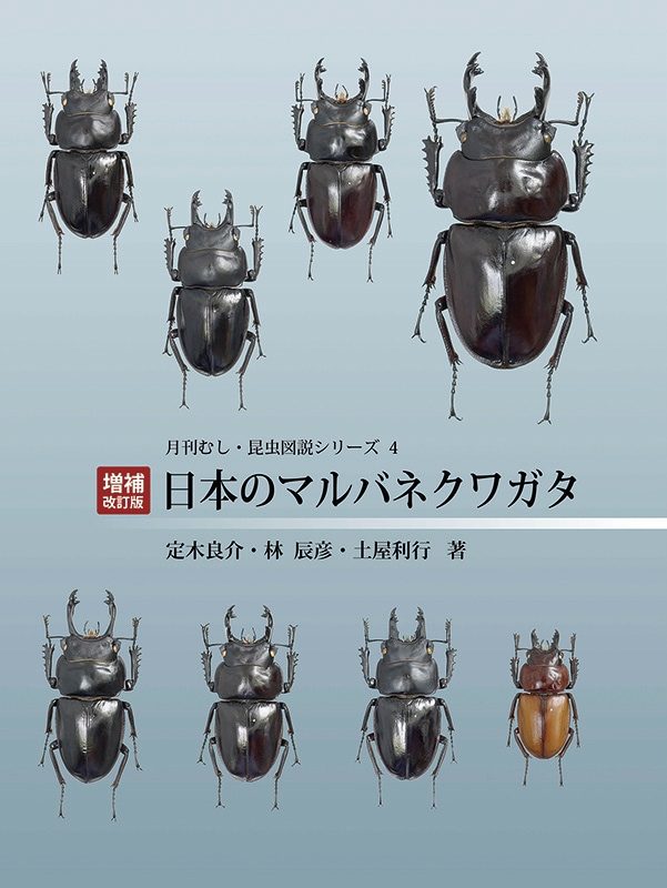 月刊むし・昆虫図説シリーズ4 日本のマルバネクワガタ【増補・改訂版