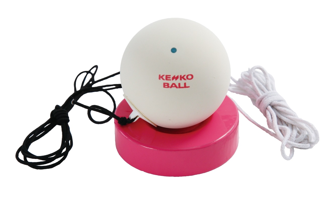 ケンコーセルフテニスII (TST-V-2) 1個｜ナガセケンコー【公式】ネット