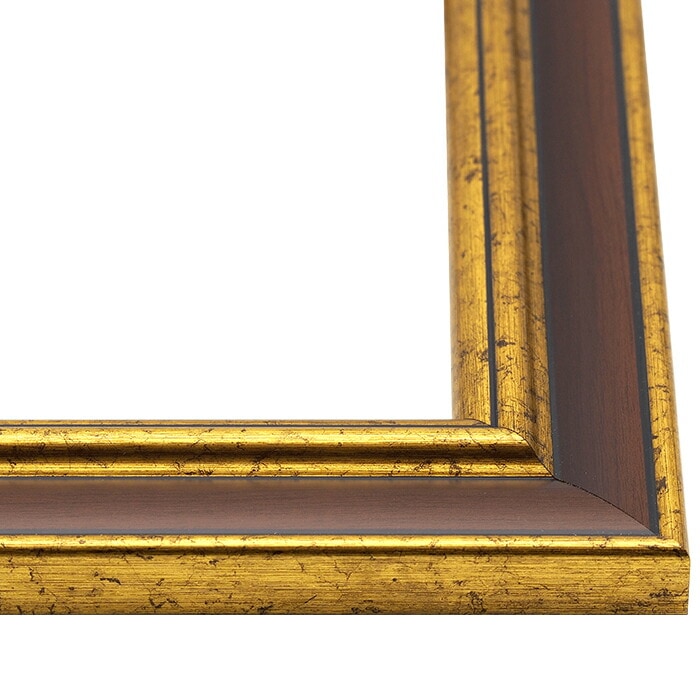 F20サイズ金色玉虫クラシック色額縁アクリル入り