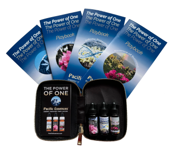 スペースクリアリングスプレー[Space Clearing Spray](空間浄化