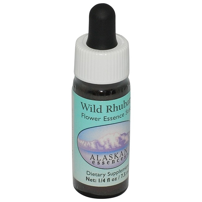 ワンサイデッドウィンターグリーン[One-Sided Wintergreen] | ブランド