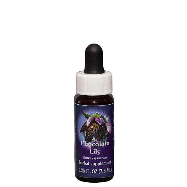 サンフラワー7.5ml[Sunflower] | ブランド一覧,FESフラワーエッセンス