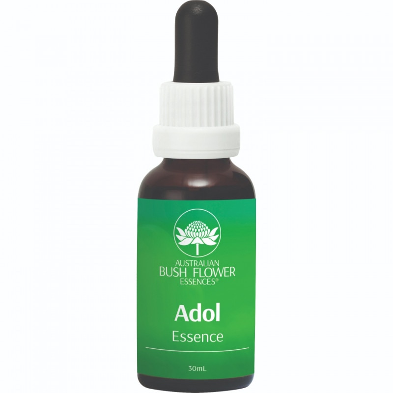 オーストラリアンブッシュシングルエッセンスキット全71本 | ブランド