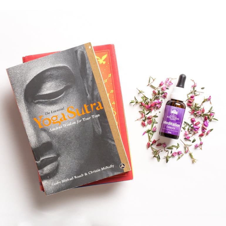 メディテーション[Meditation]『瞑想』 | ブランド一覧,オーストラリア