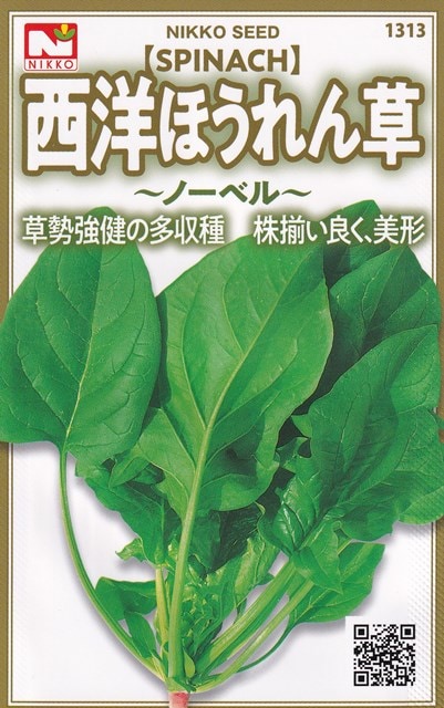 日光種苗 西洋ほうれん草（ノーベル）のタネ[内容量：10ml] 【1313