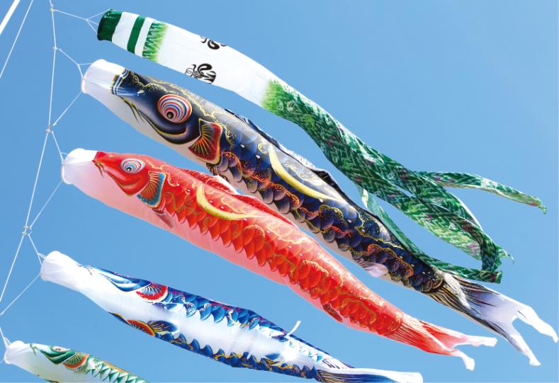 昭和レトロ 染吉 極上紅色逸品 金彩 光輝 鯉のぼり 2Mセット 子供の日