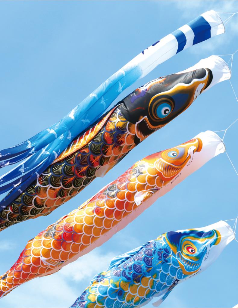 室内鯉のぼり 飛龍 カラフル 室内鯉のぼり 飛龍 カラフル 【公式通販】