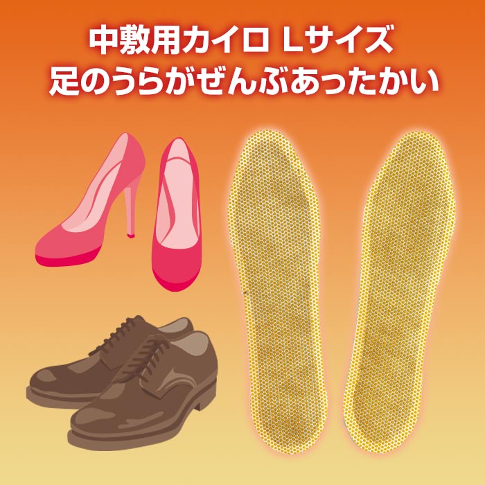 Lサイズ】アイリス 国産カイロ 中敷き用カイロ(L) 3足入 144個(72足分