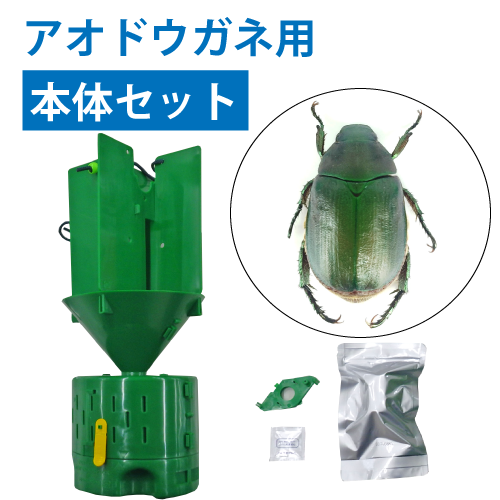 ニューウインズパック本体セット（アオドウガネ） ブルーベリー資材の