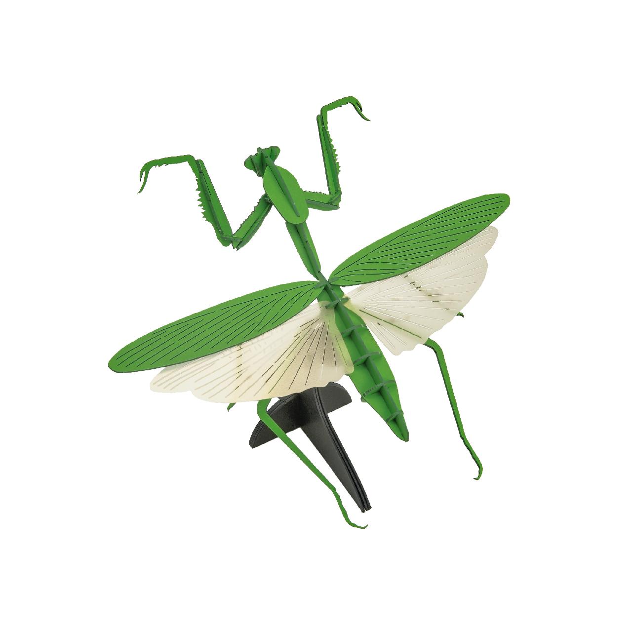 □＜昆虫標本＞カマキリ(グリーン) 3D立体ペーパーパズル 壁掛けタイプ