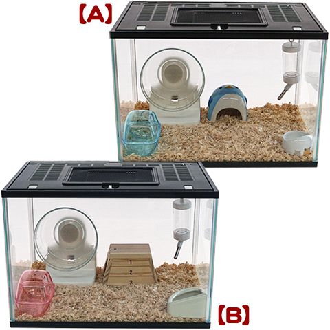 28周年セール中】400Highシャンガリアン飼育6点セット【一度のご注文で