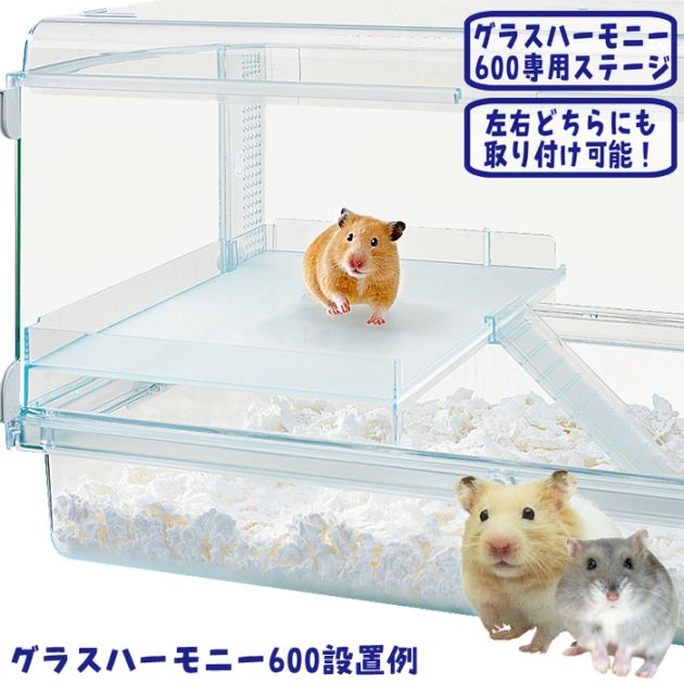 ハーモニーステージL/ロフト 中段 グラスハーモニー専用 ハムスター